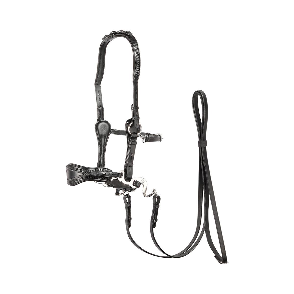 product/e/d/edix-saddles_8.8502.1470013.jpg
