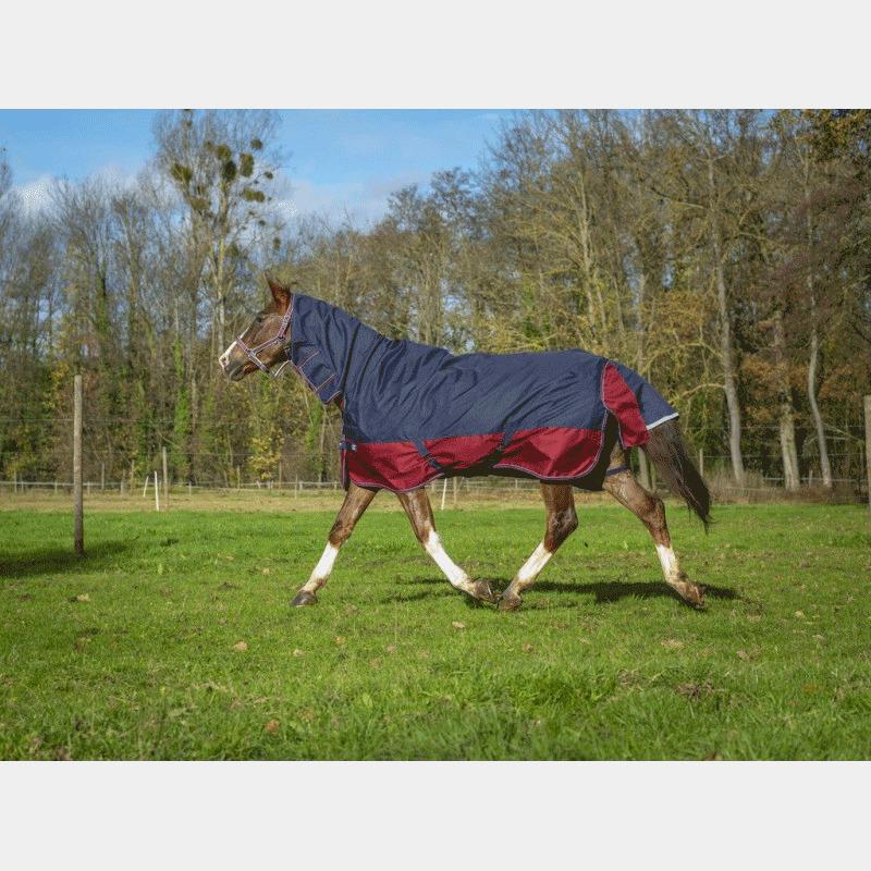 product/e/q/equitheme_4009364_mag4448936_1.jpg