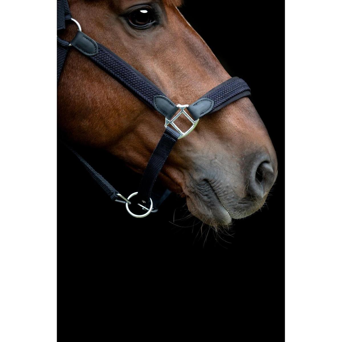 product/h/o/horseguard-506232014-navy-3.jpg