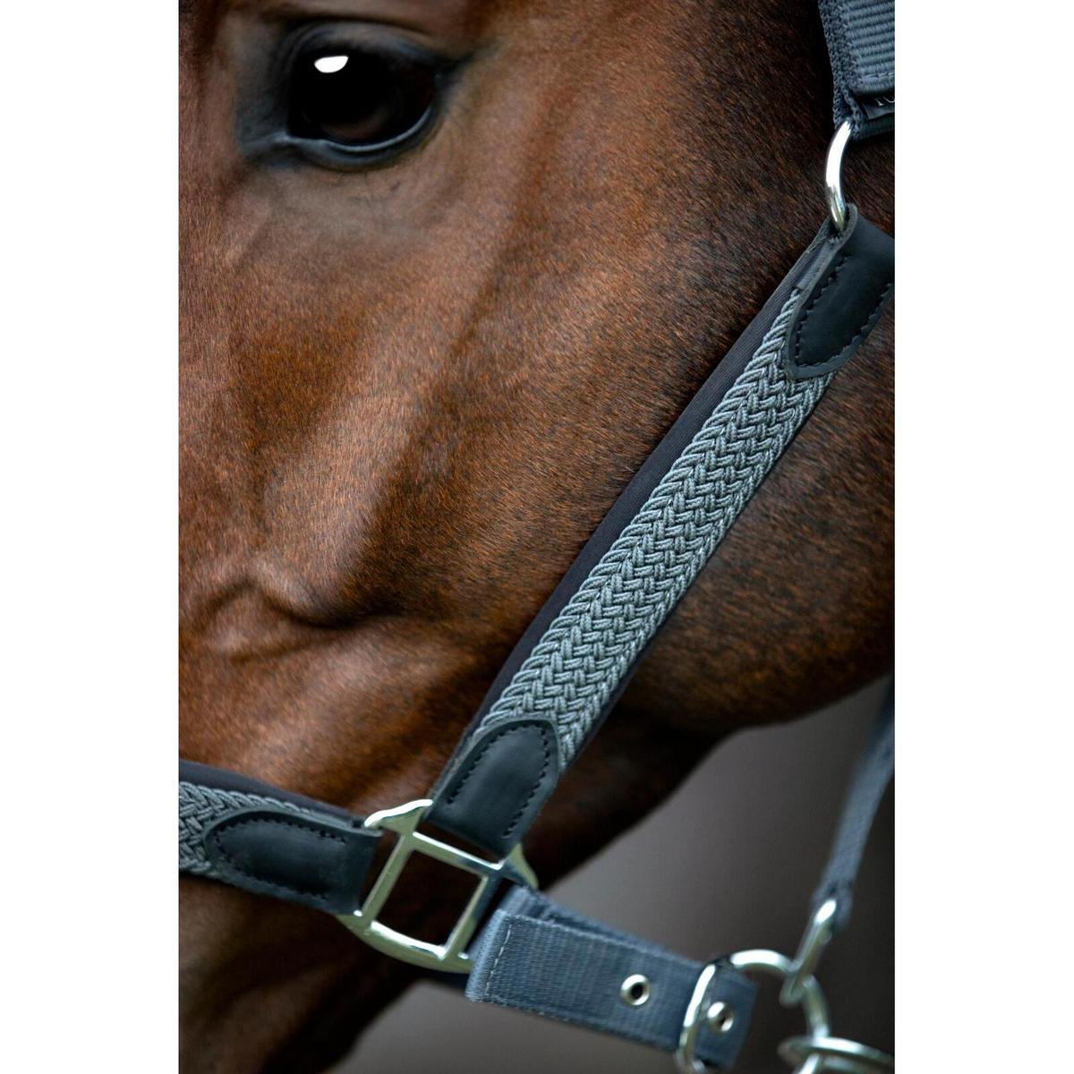 product/h/o/horseguard-506235018-asphalt-5.jpg
