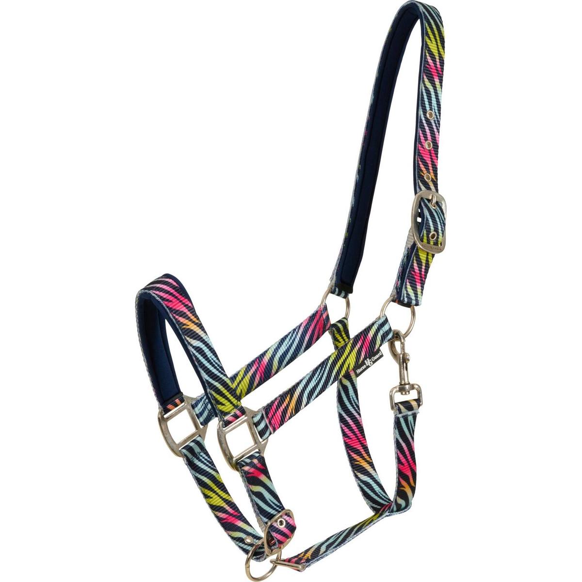 product/h/o/horseguard_505013076_rainbow_1.jpg