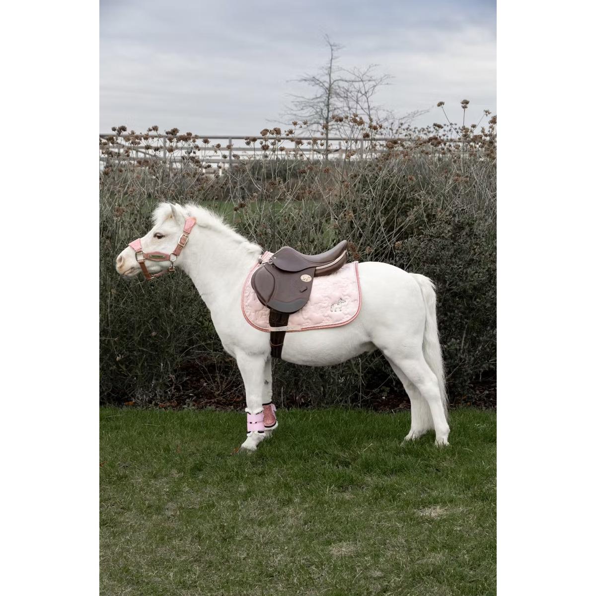 product/k/e/kentucky-horsewear-42735-50-p-soft-rose-4.jpg