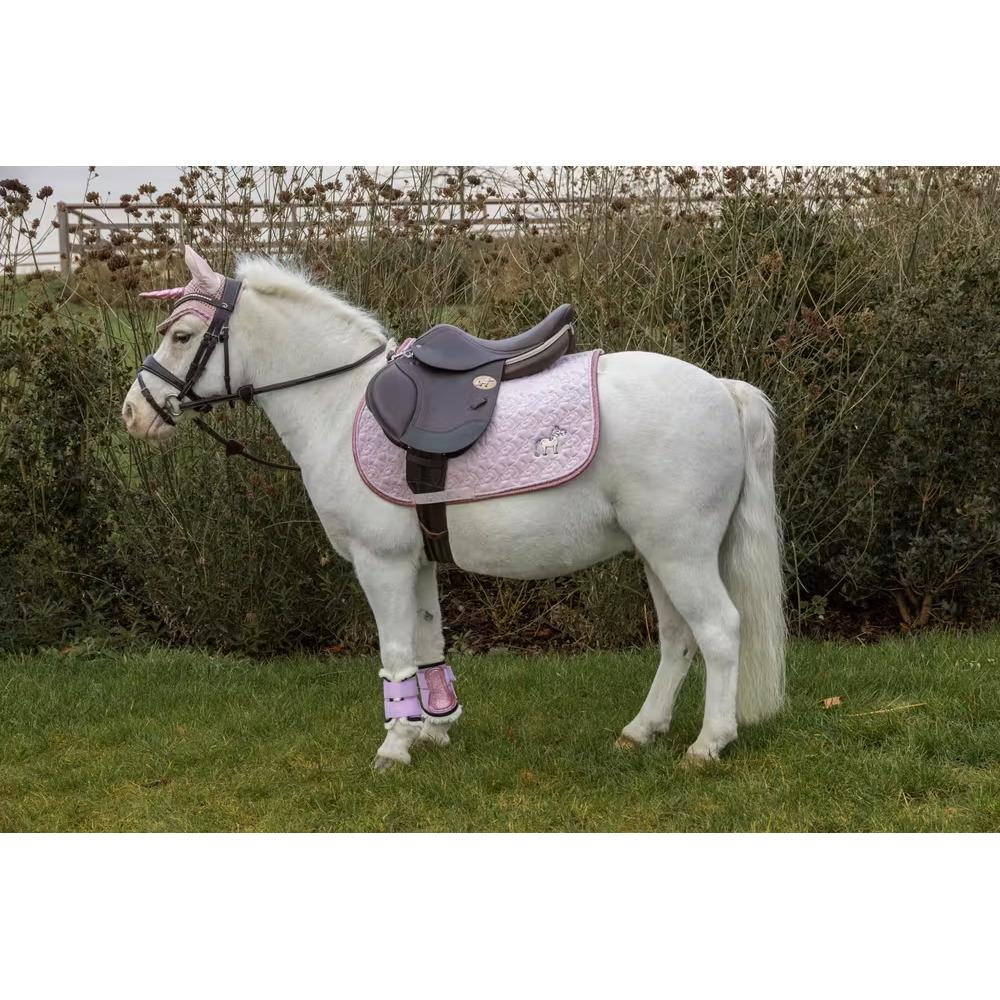 product/k/e/kentucky-horsewear-42736-50-p-soft-rose-3.jpg