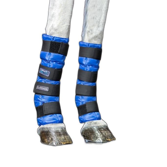 product/l/e/lemieux_it00583001_bleu_4.jpg
