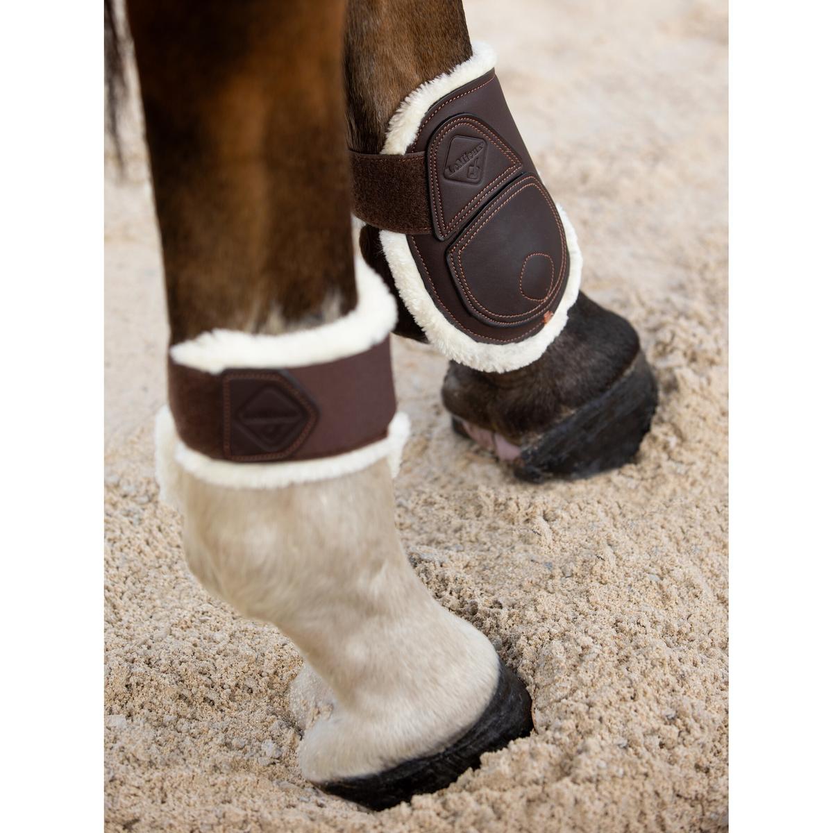 product/l/e/lemieux_it00644_3.jpg