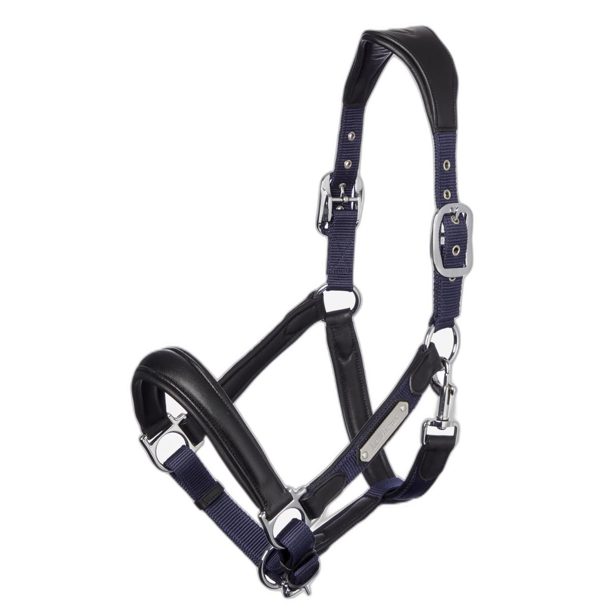product/l/e/lemieux_it00863_2.jpg