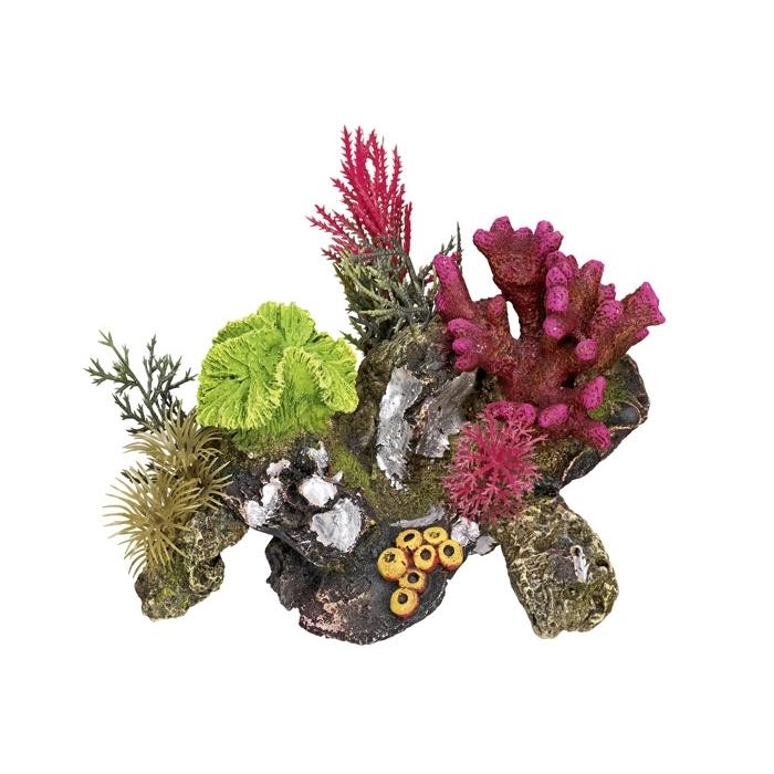 product/n/o/nobby-pet_28063.jpg