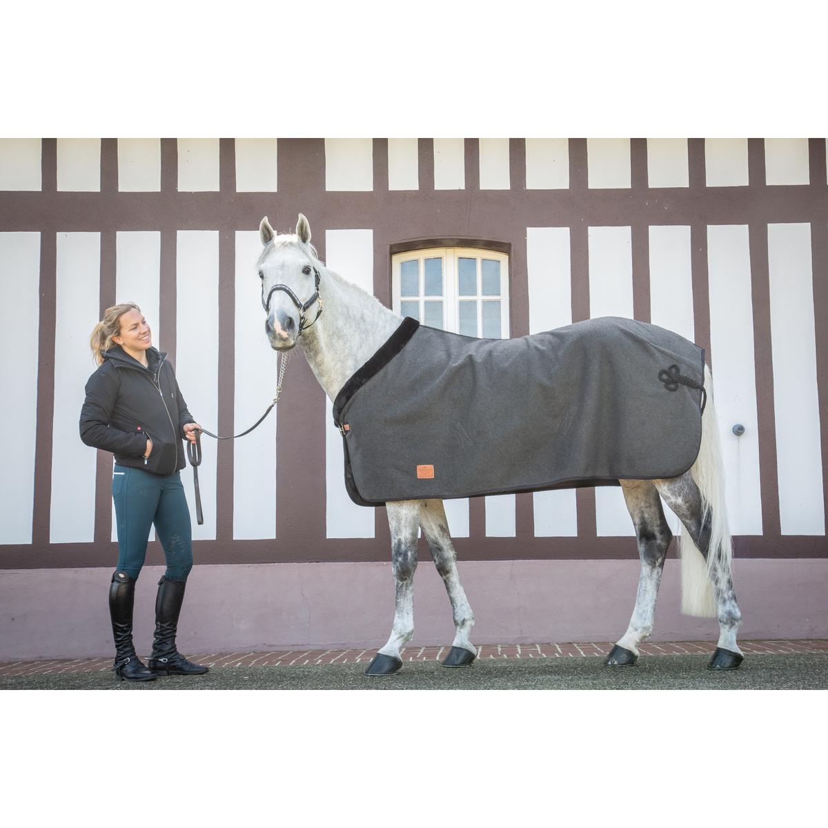 product/p/a/paddock_400_022_266.jpg