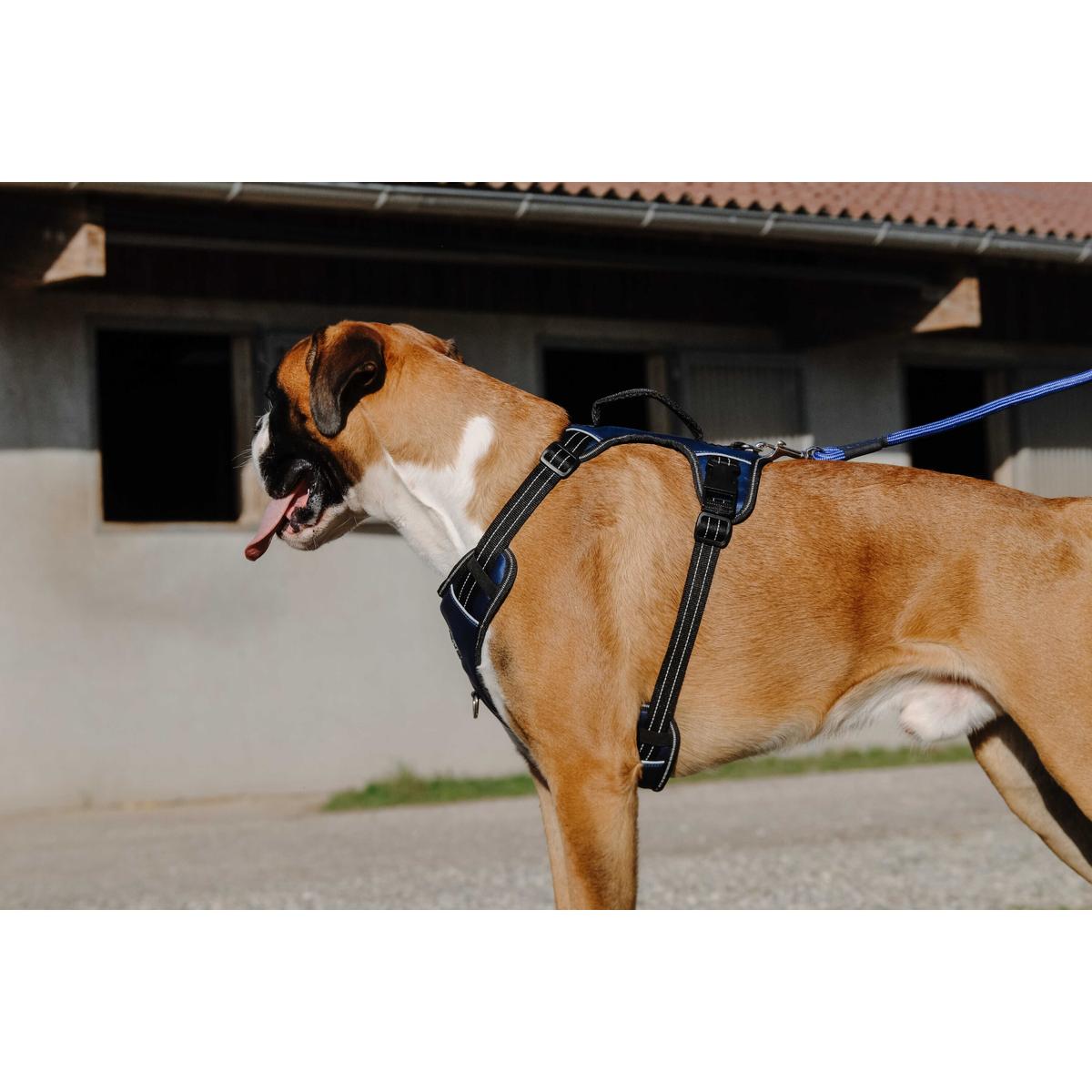 product/r/i/riding-world_409059001_marine_5.jpg