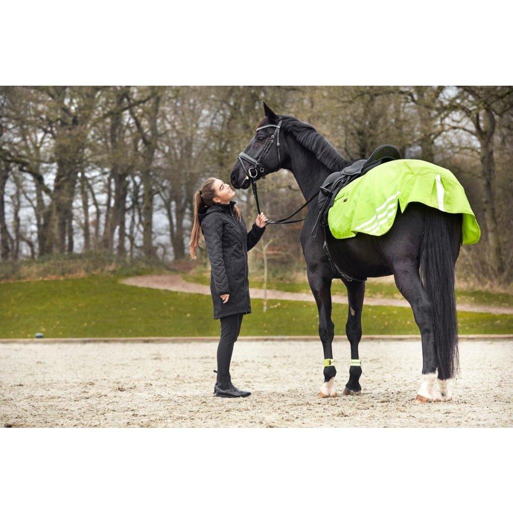 product/h/o/horseguard_502552007_yellow_2.jpg