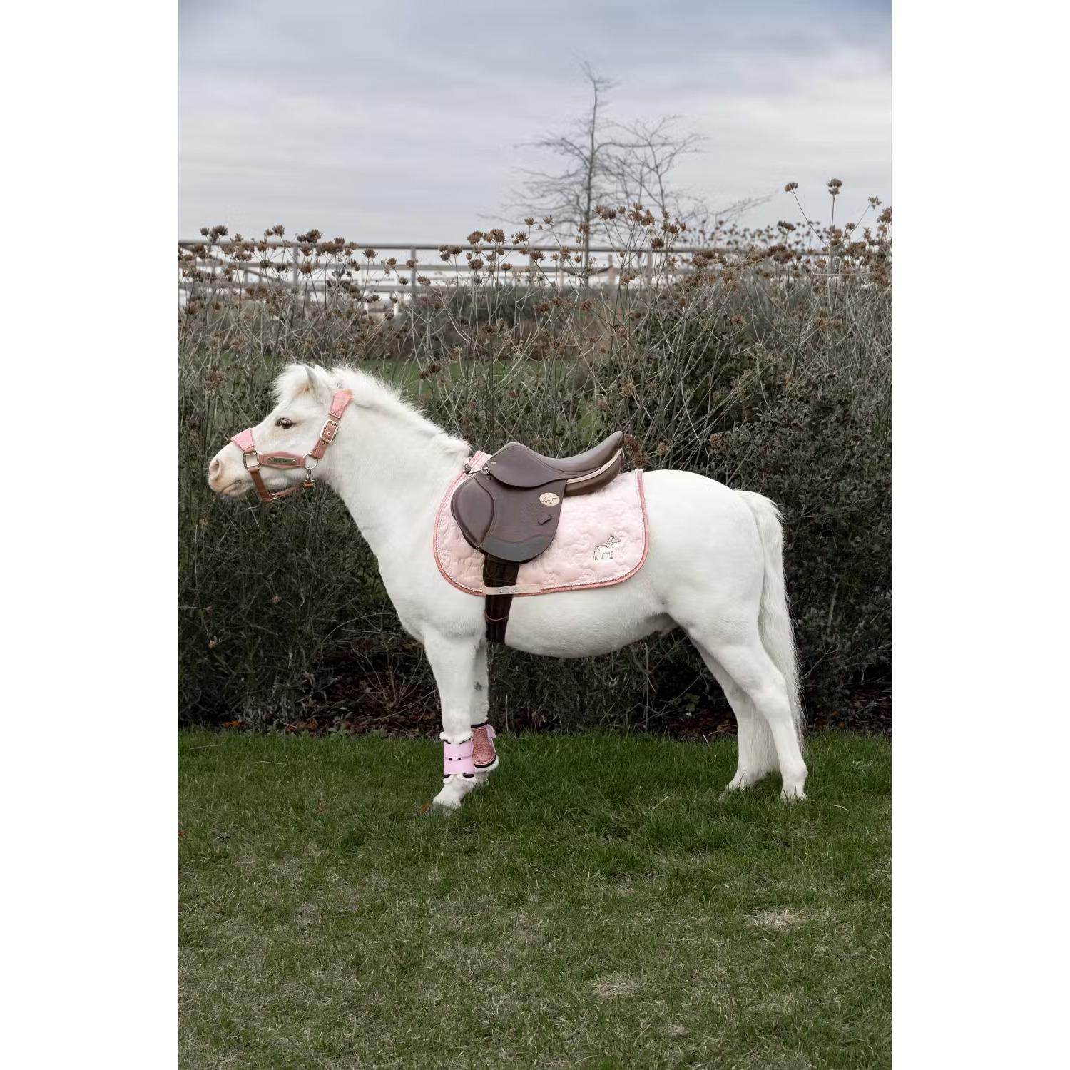 product/k/e/kentucky-horsewear-42735-50-p-soft-rose-4.jpg