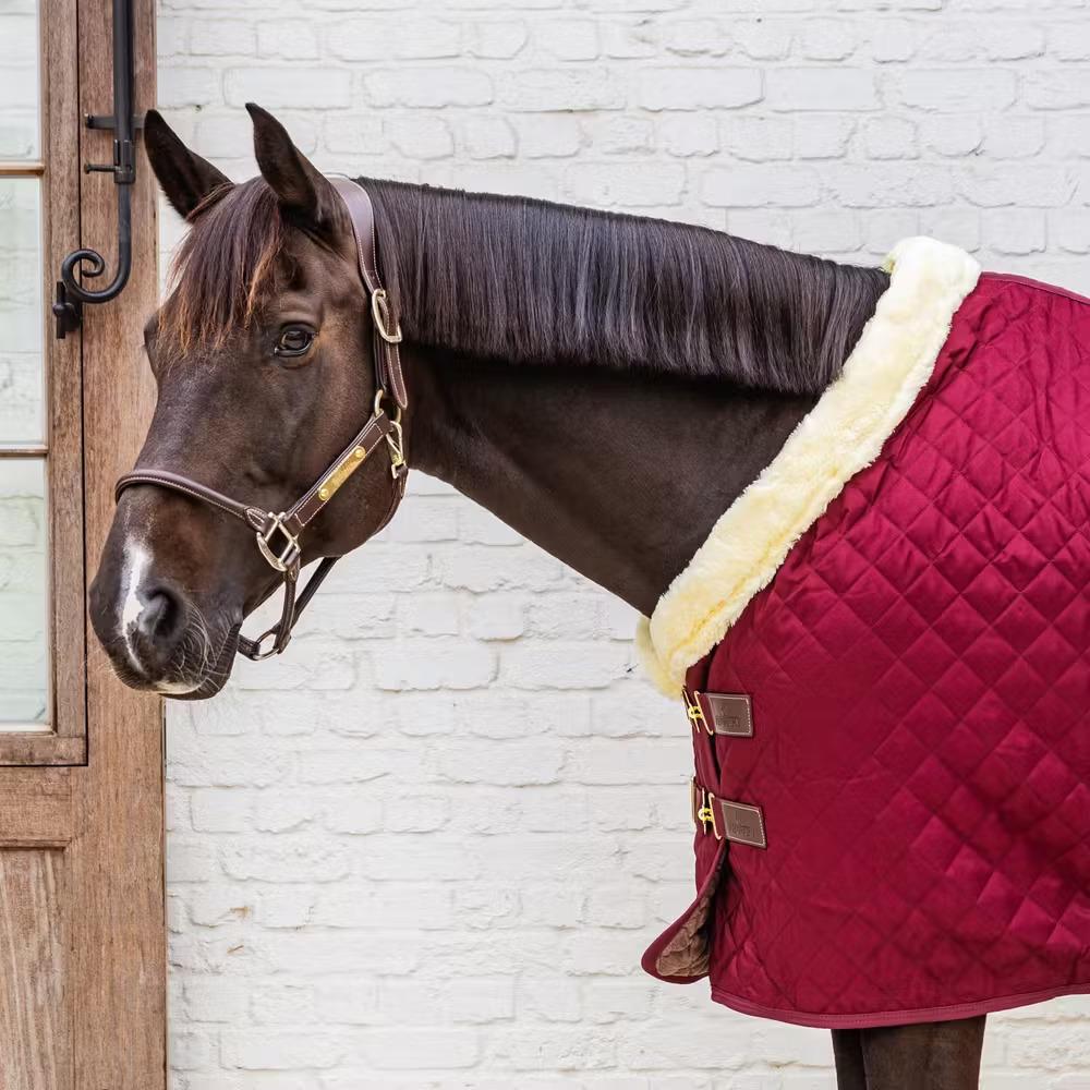product/k/e/kentucky-horsewear-52101-17-125-bordeaux-3.jpg