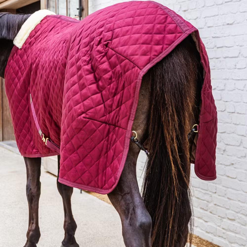 product/k/e/kentucky-horsewear-52102-17-130-bordeaux-4.jpg