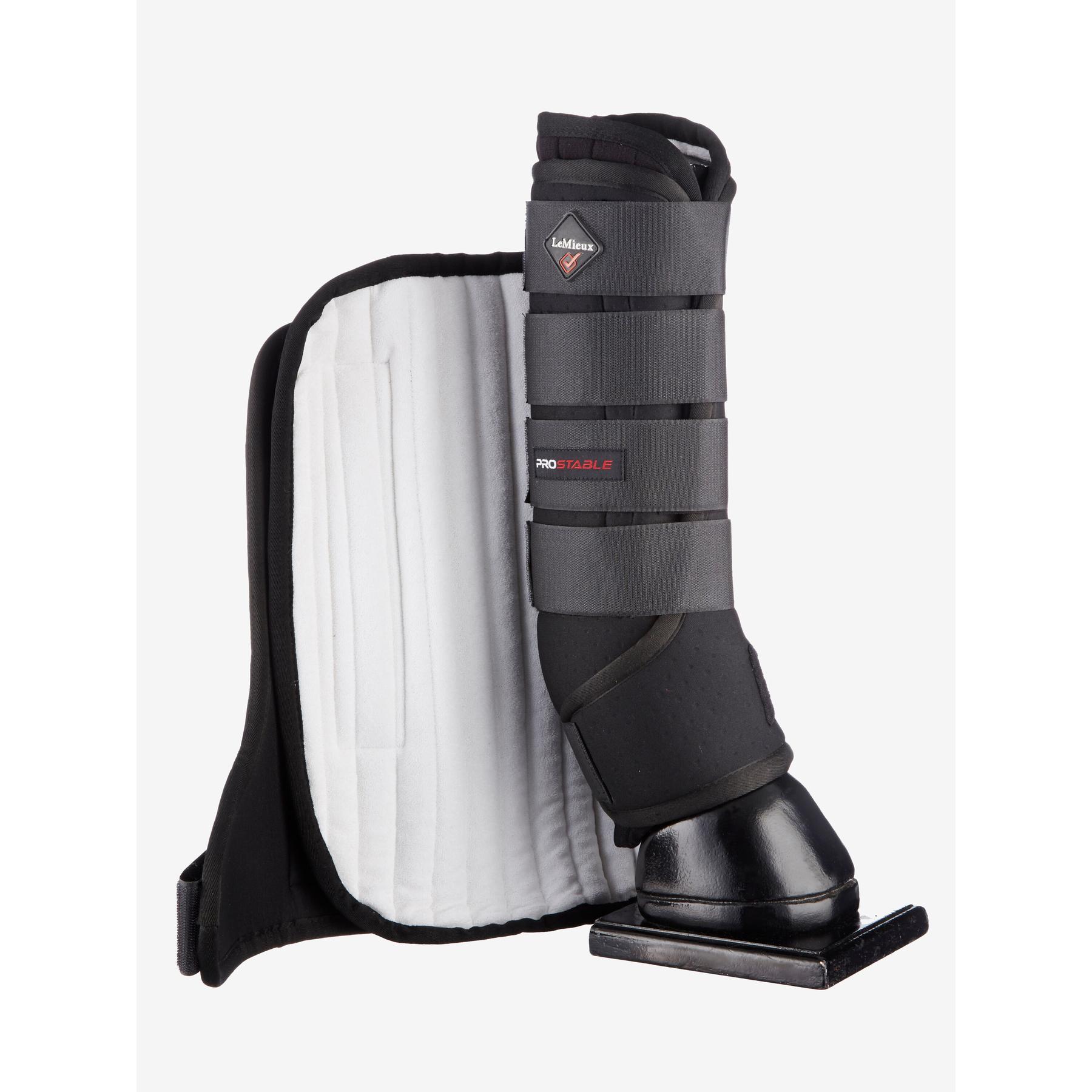 product/l/e/lemieux_it00587003_0.jpg