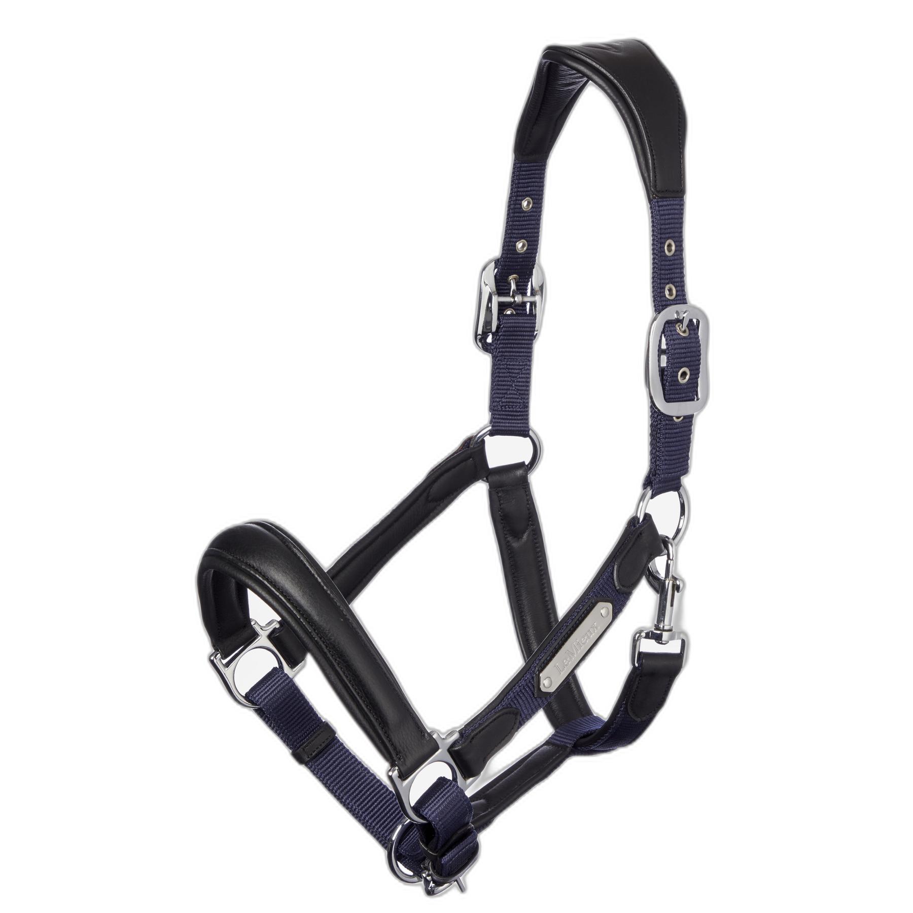 product/l/e/lemieux_it00863_2.jpg