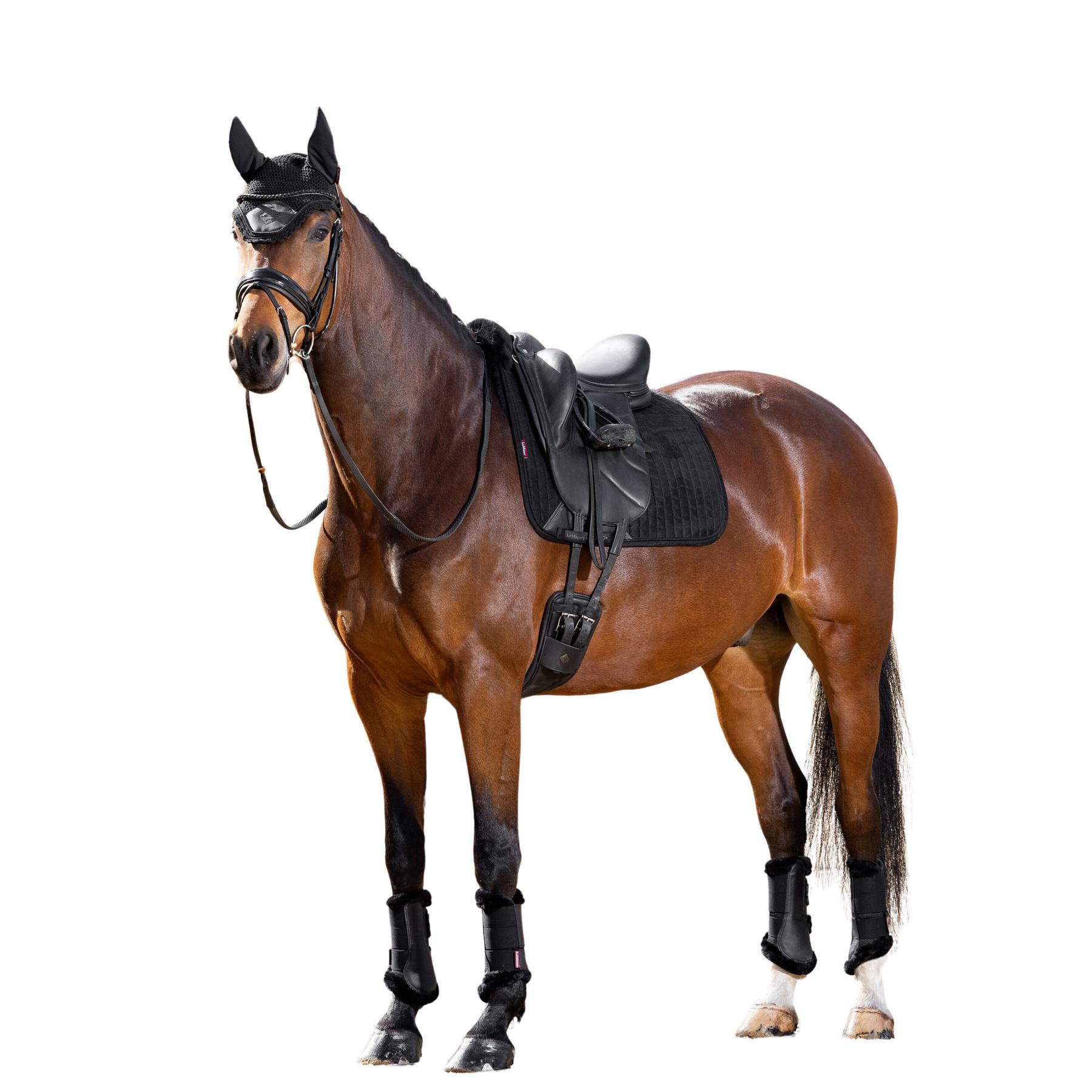 product/l/e/lemieux_it04876004_black-noir_2.jpg