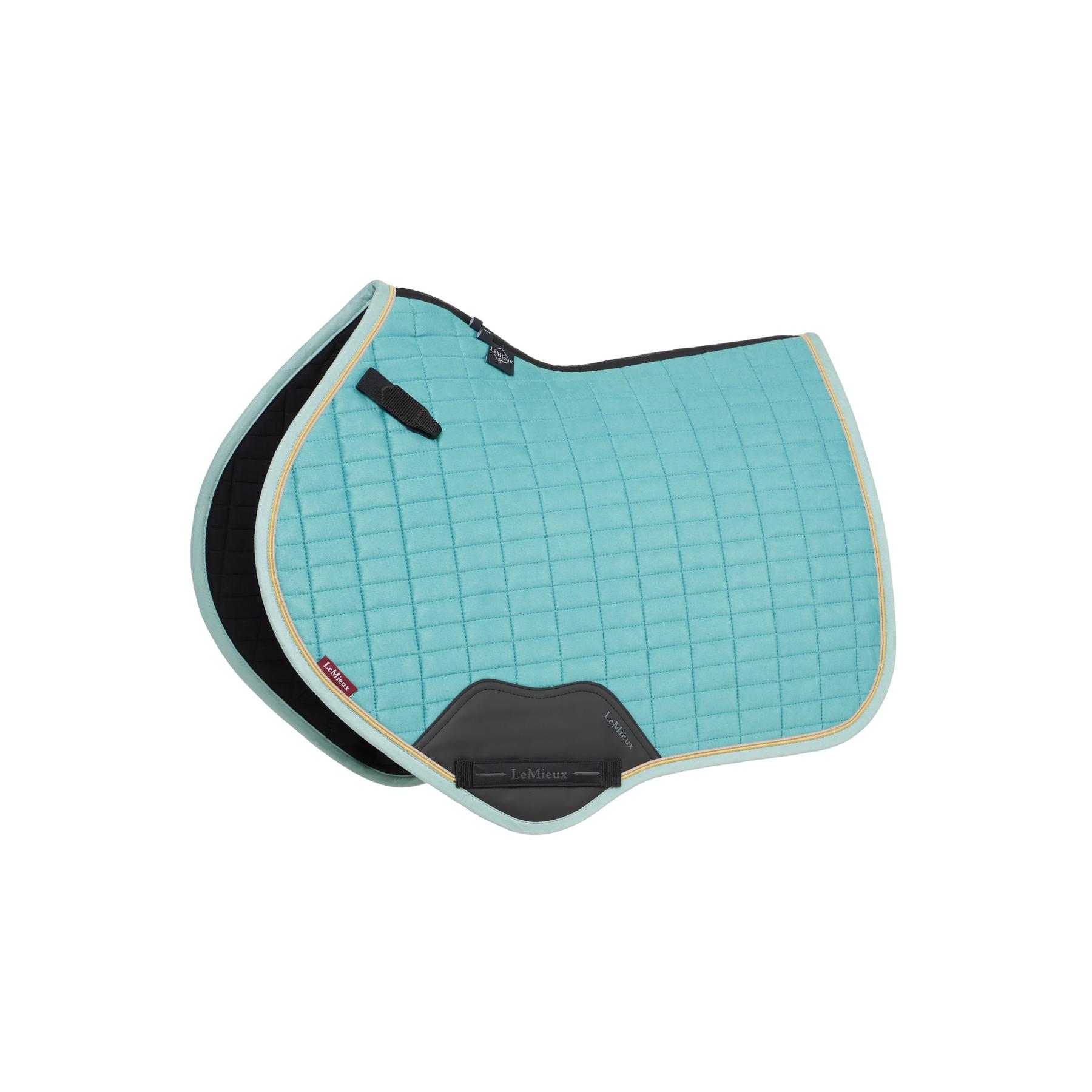 product/l/e/lemieux_it05948005_1.jpg