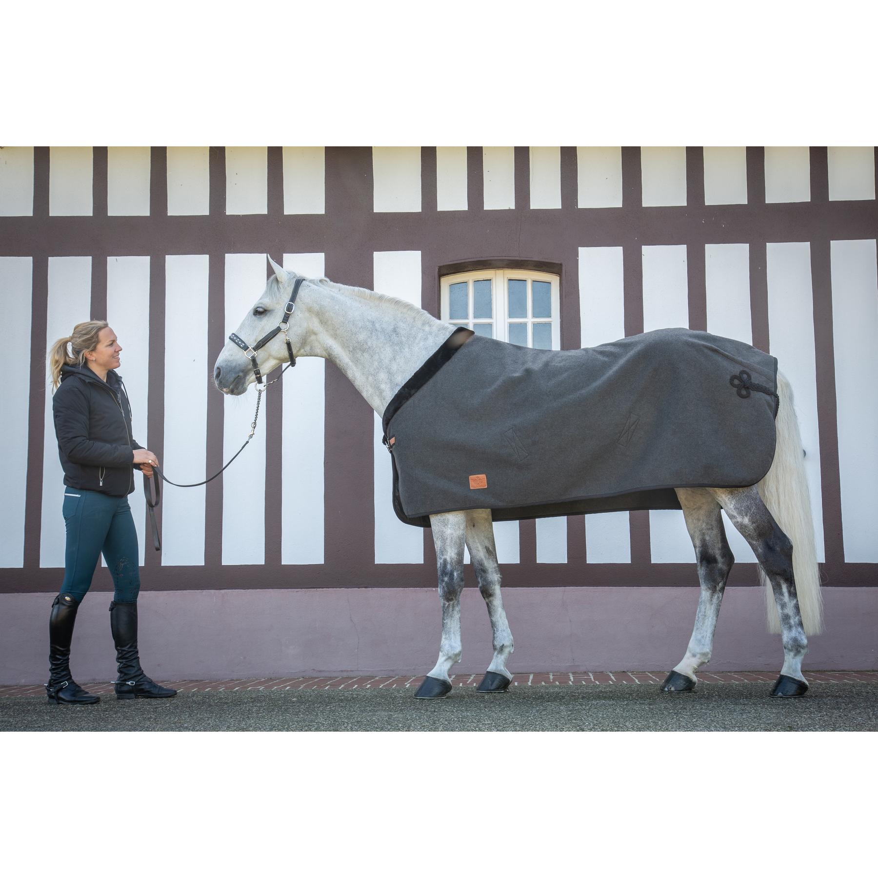 product/p/a/paddock_400_022_266_amb1.jpg