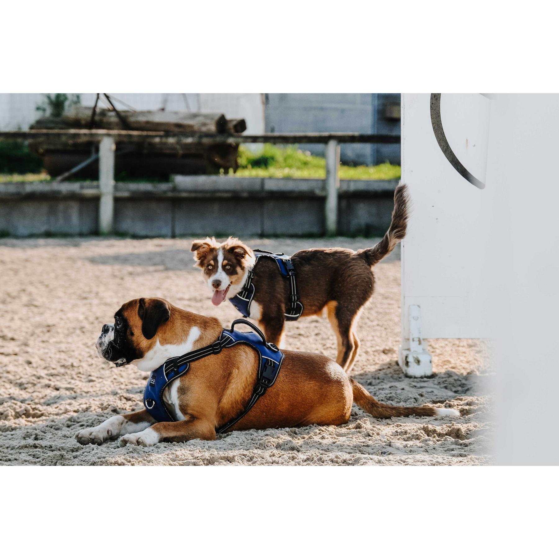 product/r/i/riding-world_409059001_marine_4.jpg