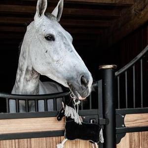 Stable
