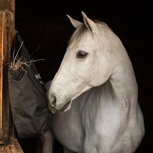 Stable Essentials