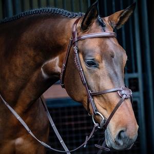 Hides & Tack