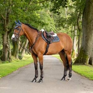 Pads, Ear Bonnets & Shock Absorbers