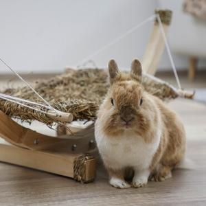 Other Animals