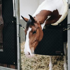 Gear for the Stable