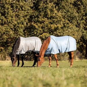 Resting Horse