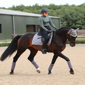 Working Horse