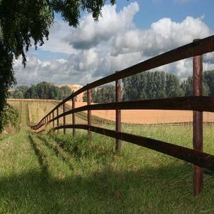 Fences