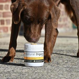 Supplements with Food