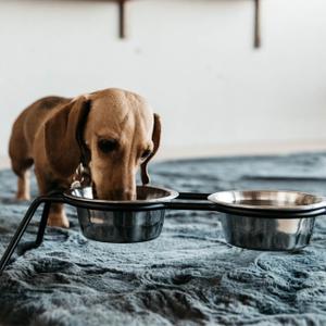 Dry Food