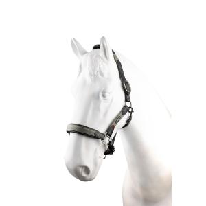 4p5qa-693-leather-halter-for-horses-b-vertigo-lennox-chimera