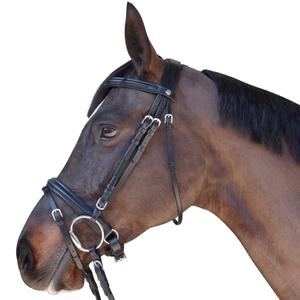 111105-marron-riding-bridle-canter-euro-pull-back-brown