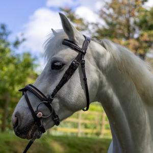 111117-marron-light-gold-bridles-for-horses-canter-mylord-brown-light-gold
