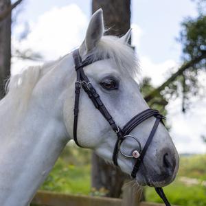 111117-marron-vert-bridles-for-horses-canter-mylord-brown-green
