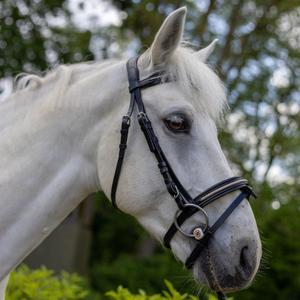 111117-noir-light-gold-bridles-for-horses-canter-mylord-black-light-gold