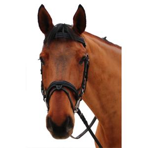 111117-noir-noir-bridles-for-horses-canter-mylord-black-black