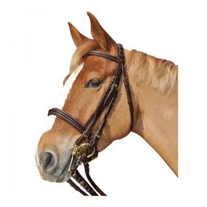 111505-marron-riding-bridles-canter-euro-brown