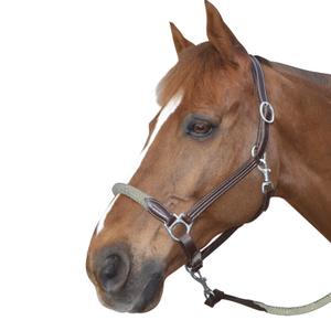 119522-marron-beige-leather-halter-for-horse-with-reins-canter-brown-beige