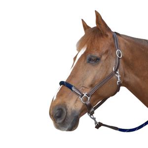 119522-marron-marine-leather-halter-for-horse-with-reins-canter-brown-navy