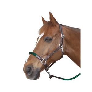 119522-marron-vert-foret-leather-halter-for-horse-with-reins-canter-brown-forest-green