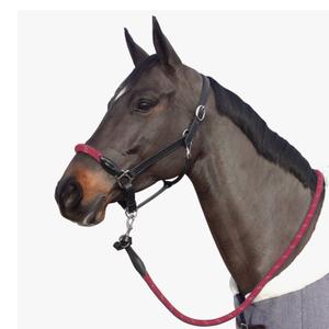 119522-noir-bordeaux-rope-halter-with-white-buckles-for-horse-canter-black-burgundy