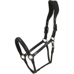 product/c/a/catago-800552001-black-1.jpg