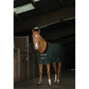 4007298-rug-equitheme-teddy-green-brown