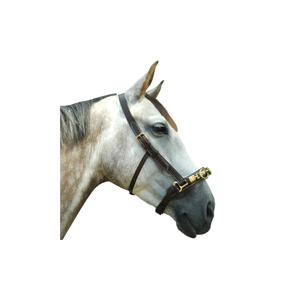 119400-marron-horse-cavesson-chetak-brown-full