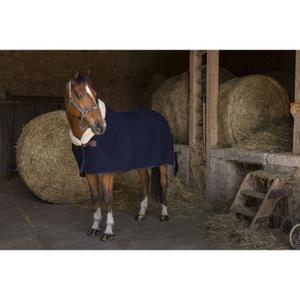 4008117-wool-fleece-blanket-equitheme-teddy-marine