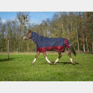 4009364-outdoor-horse-blanket-equitheme-tyrex-1200-d-combo-200g-navy-burgundy
